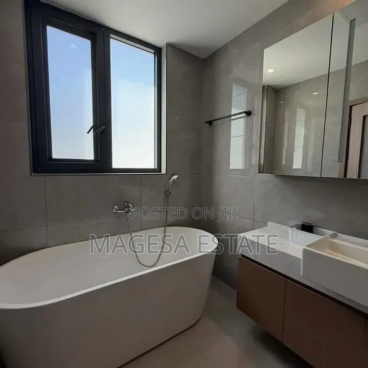 Furnished 3bdrm Apartment in Masaki for rent