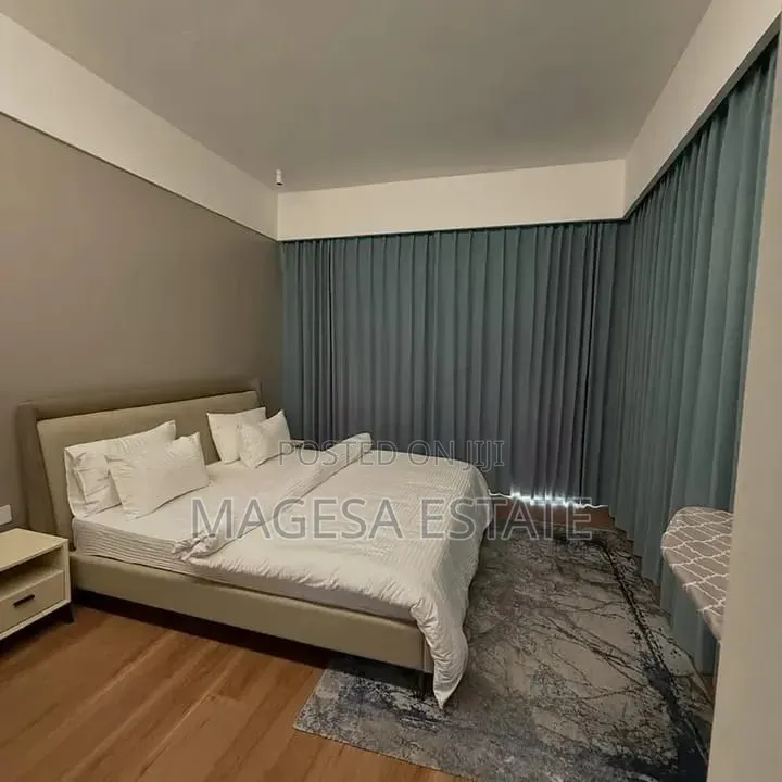 Furnished 3bdrm Apartment in Masaki for rent