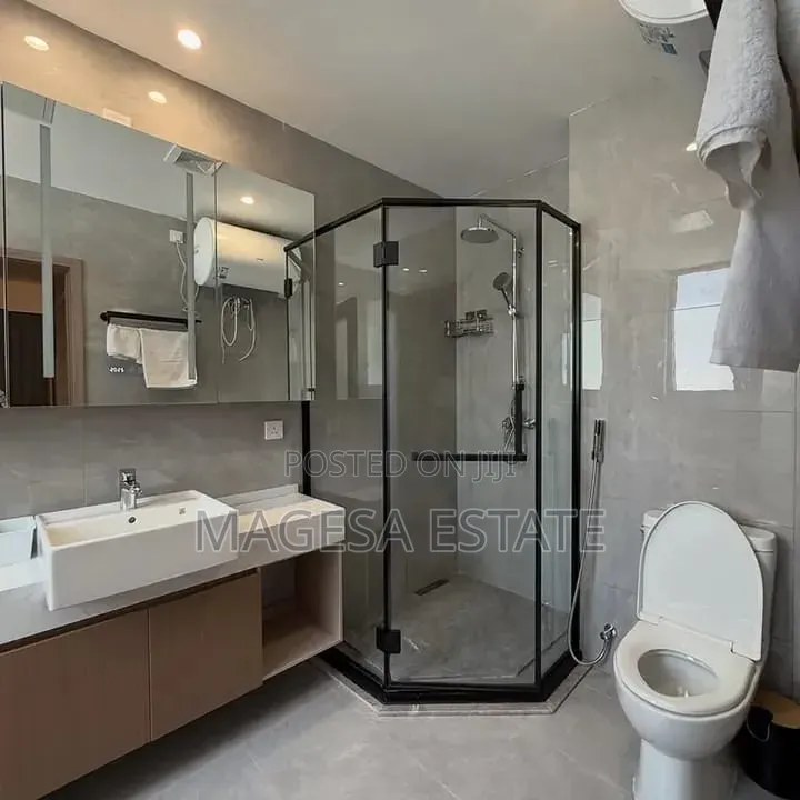 Furnished 3bdrm Apartment in Masaki for rent