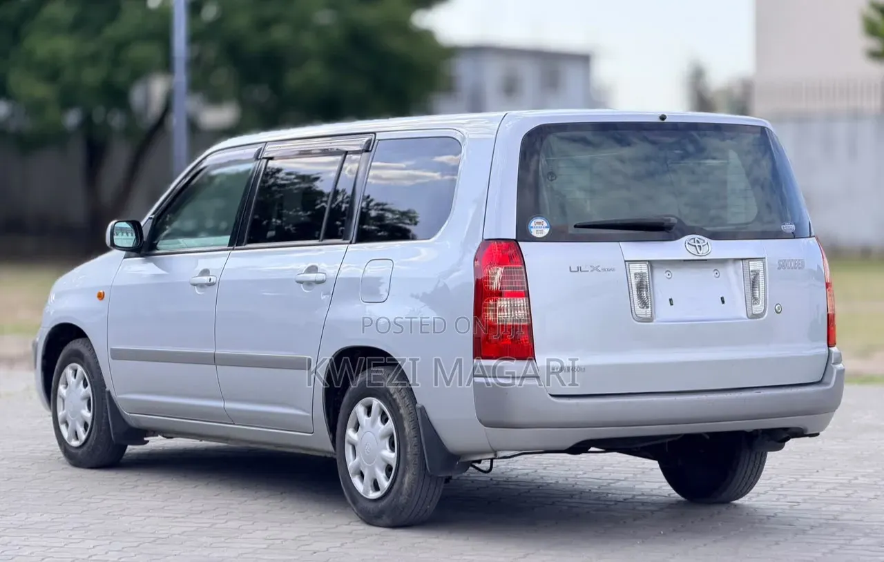 Toyota Succeed 2004 Silver