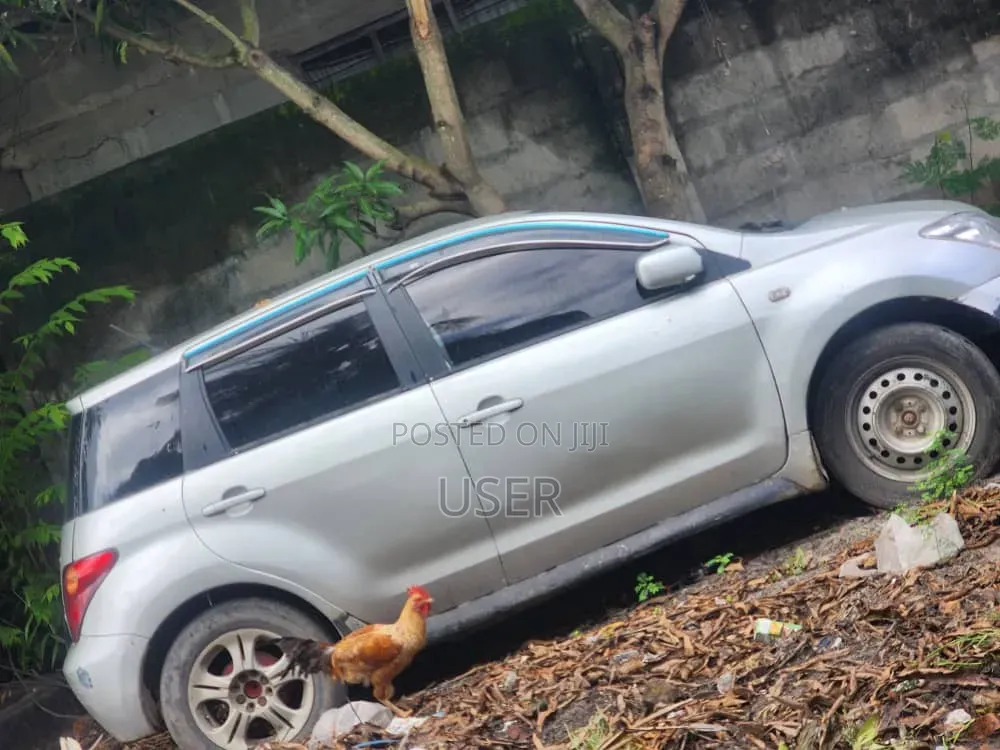 Toyota IST 2004 Silver