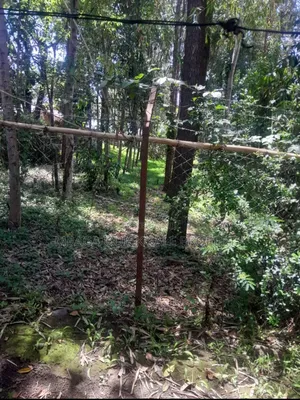 Plot for Sale at Sakina Chini
