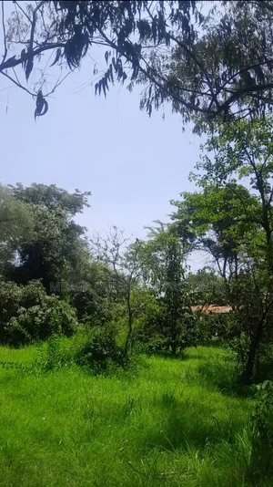 Plot for Sale at Sakina Chini