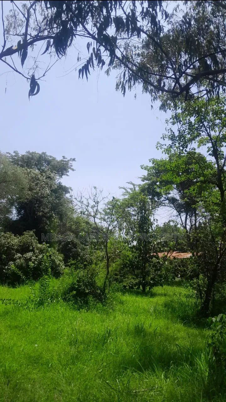 Plot for Sale at Sakina Chini