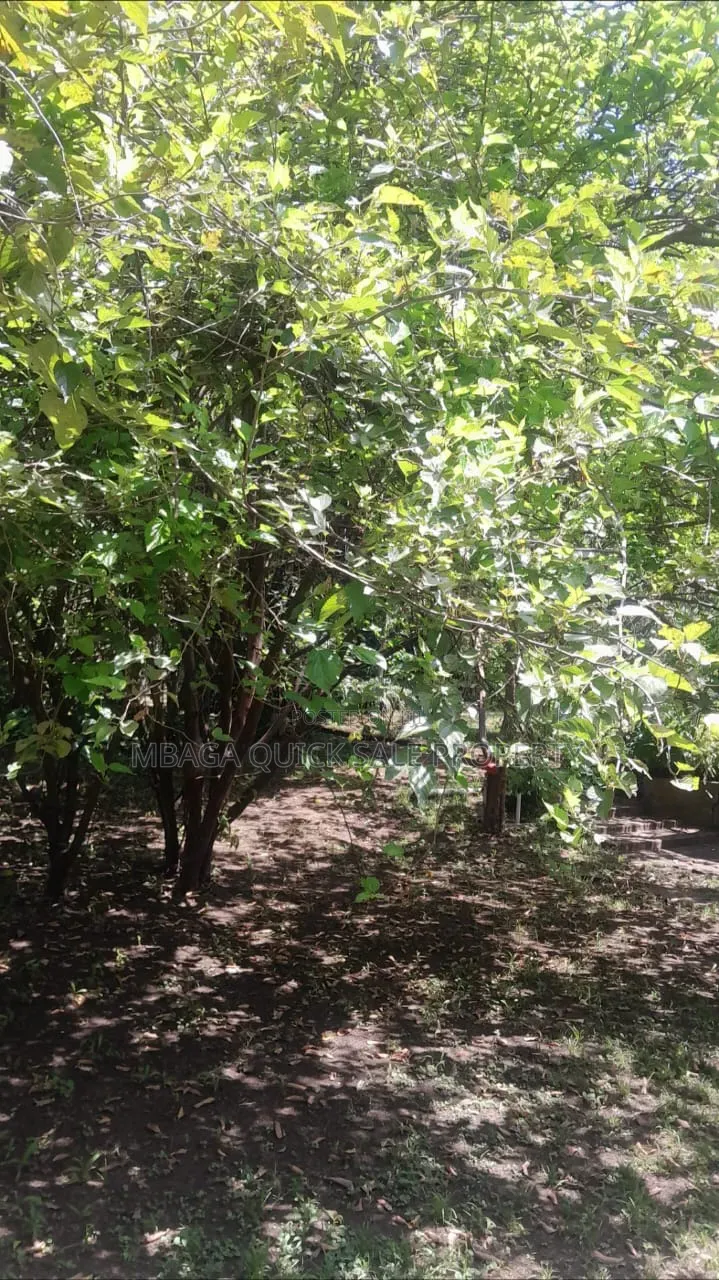 Plot for Sale at Sakina Chini
