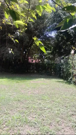 Plot for Sale at Sakina Chini