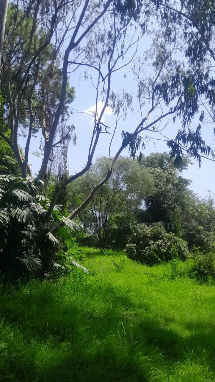 Plot for Sale at Sakina Chini