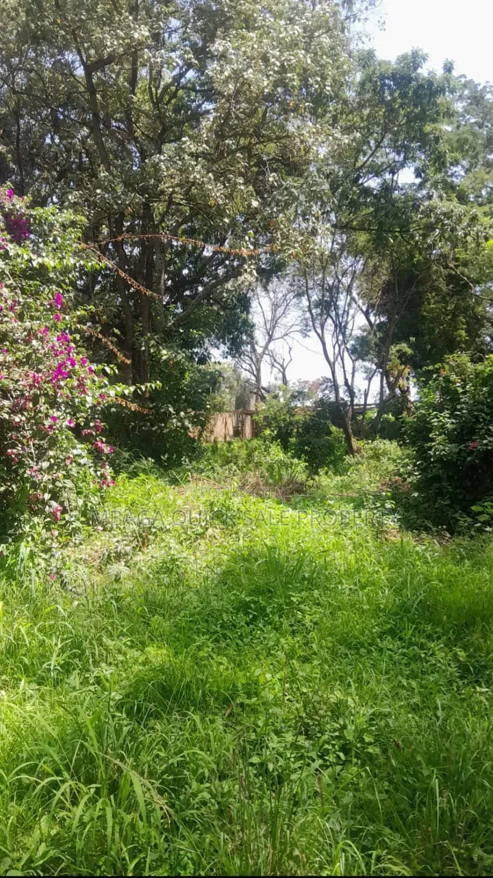 Plot for Sale at Sakina Chini