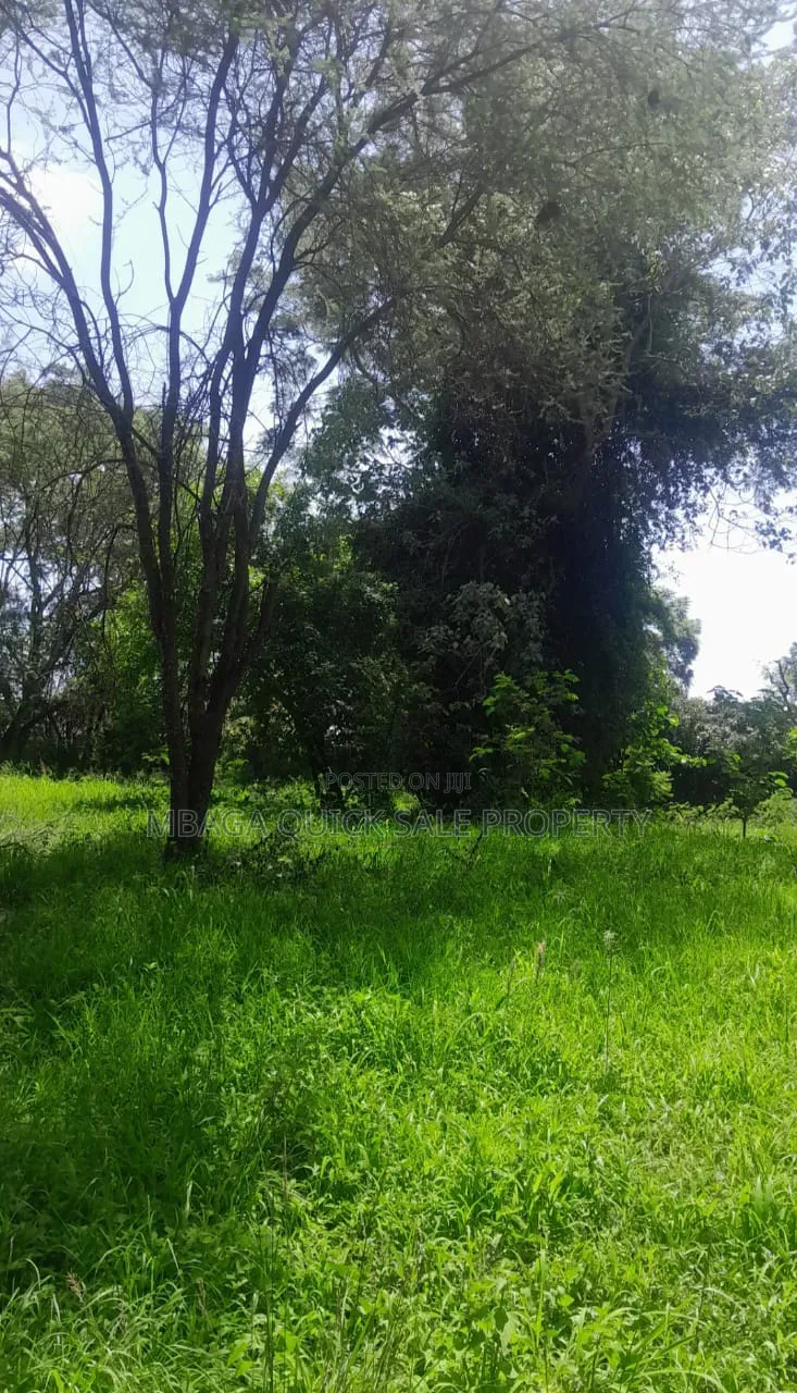 Plot for Sale at Sakina Chini