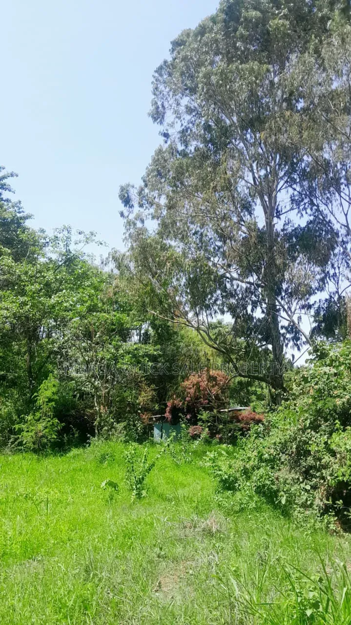Plot for Sale at Sakina Chini