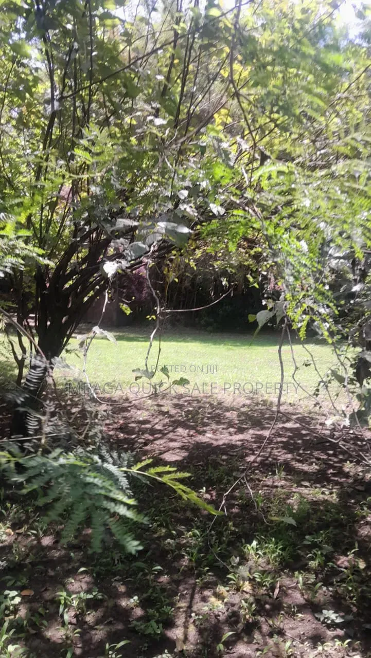 Plot for Sale at Sakina Chini