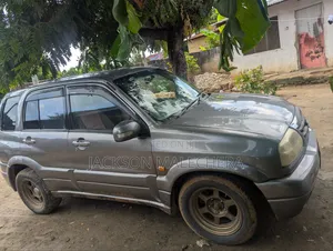 Suzuki Vitara 2007 Gray