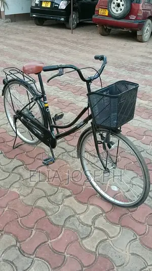 CastaNet Bicycle Brand New