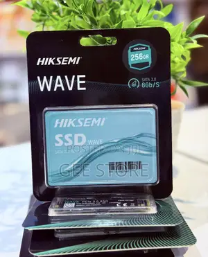 Hiksemi Wave Sata SSD Storage 256GB