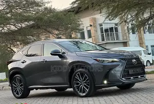 Lexus NX 2022 Gray