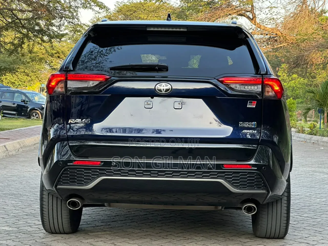 Toyota RAV4 2023 Blue