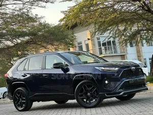 Toyota RAV4 2023 Blue