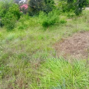 Kibaha Kumenoga