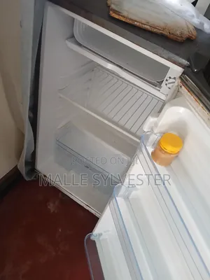 Boss Fridge Ndogo Kwa Tu