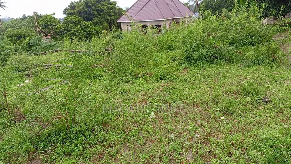 Eneo Linauzwa Kona Ya Chuo