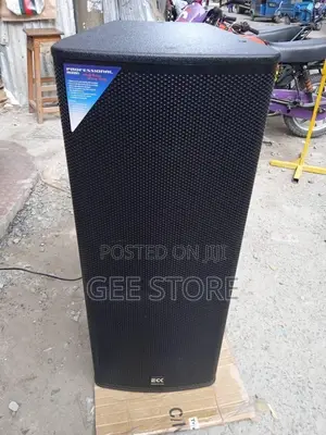 Eck Professional Audio Double Speaker