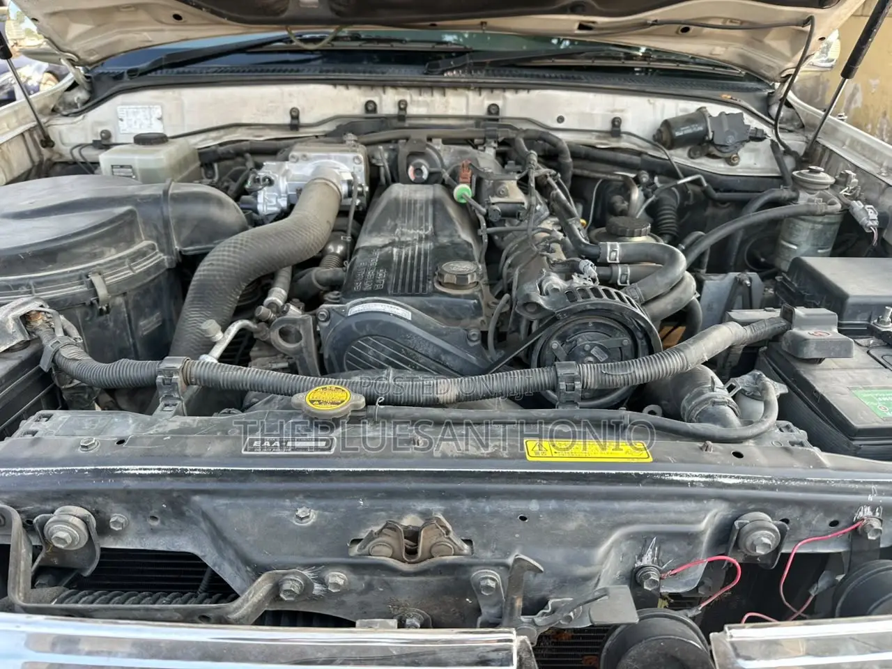 Toyota Land Cruiser 2004 White
