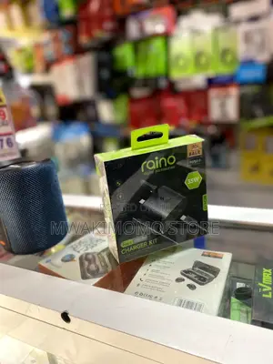 Raino Fast Charger 20W