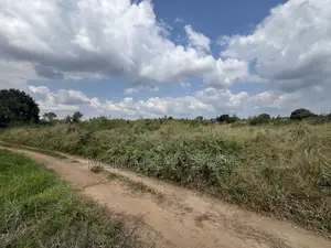 137 Acres of Agriculture Farm for Sale in Mhaga, Kisarawe