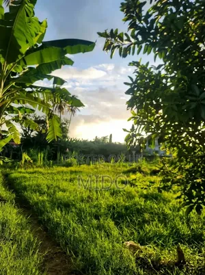 Kiwanja Kinauzwa,