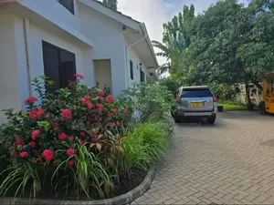 Furnished 1bdrm Duplex in Mikocheni for rent