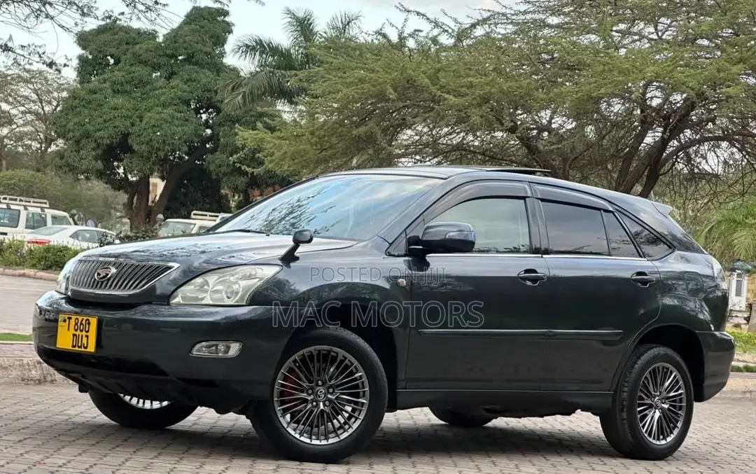 Toyota Harrier 2006 Gray
