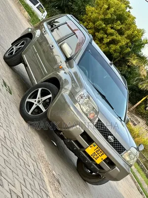 Nissan X-Trail 2008 Gray
