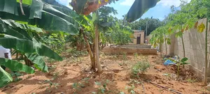 Kiwanja Kinauzwa Bunju a -Dogodogo Center
