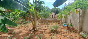 Kiwanja Kinauzwa Bunju a -Dogodogo Center