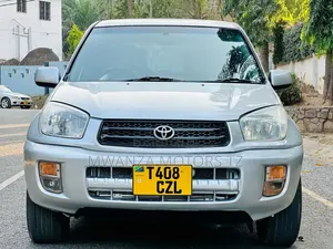 Toyota RAV4 2004 Silver