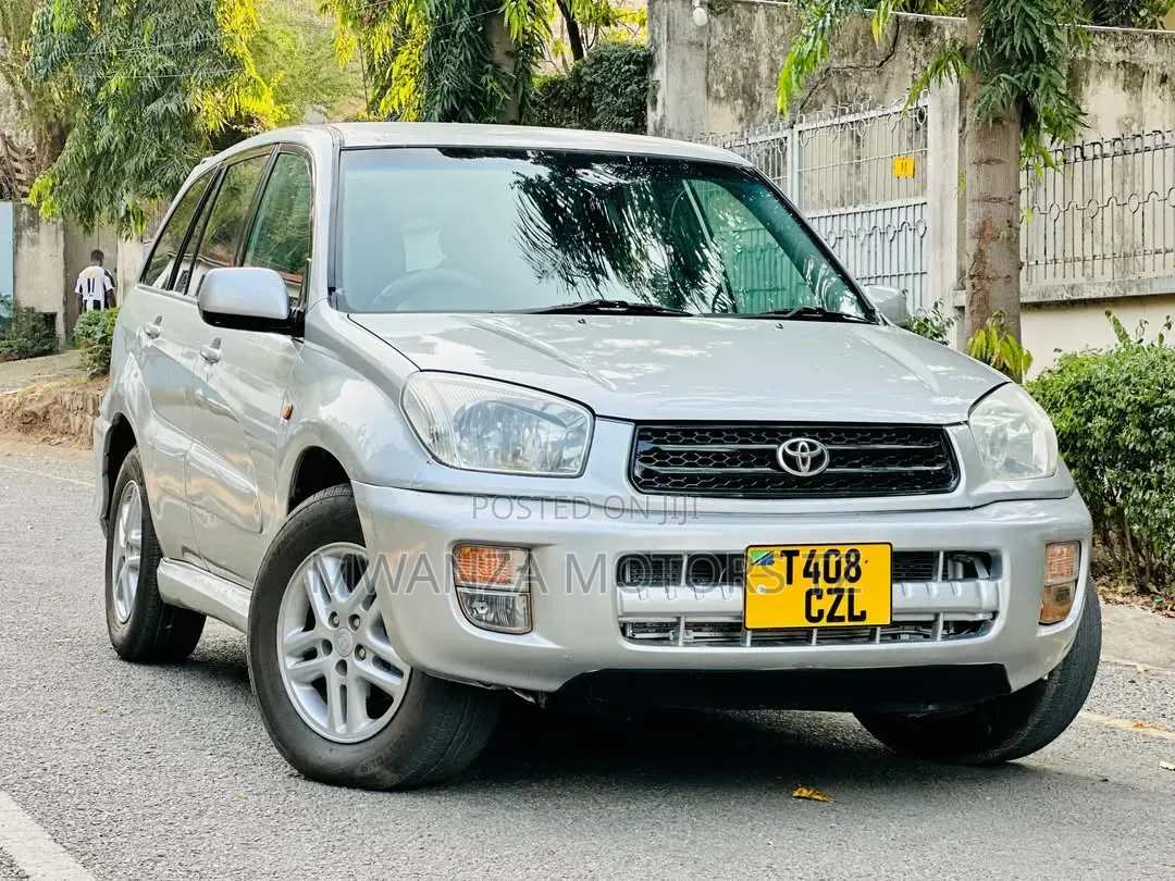 Toyota RAV4 2004 Silver