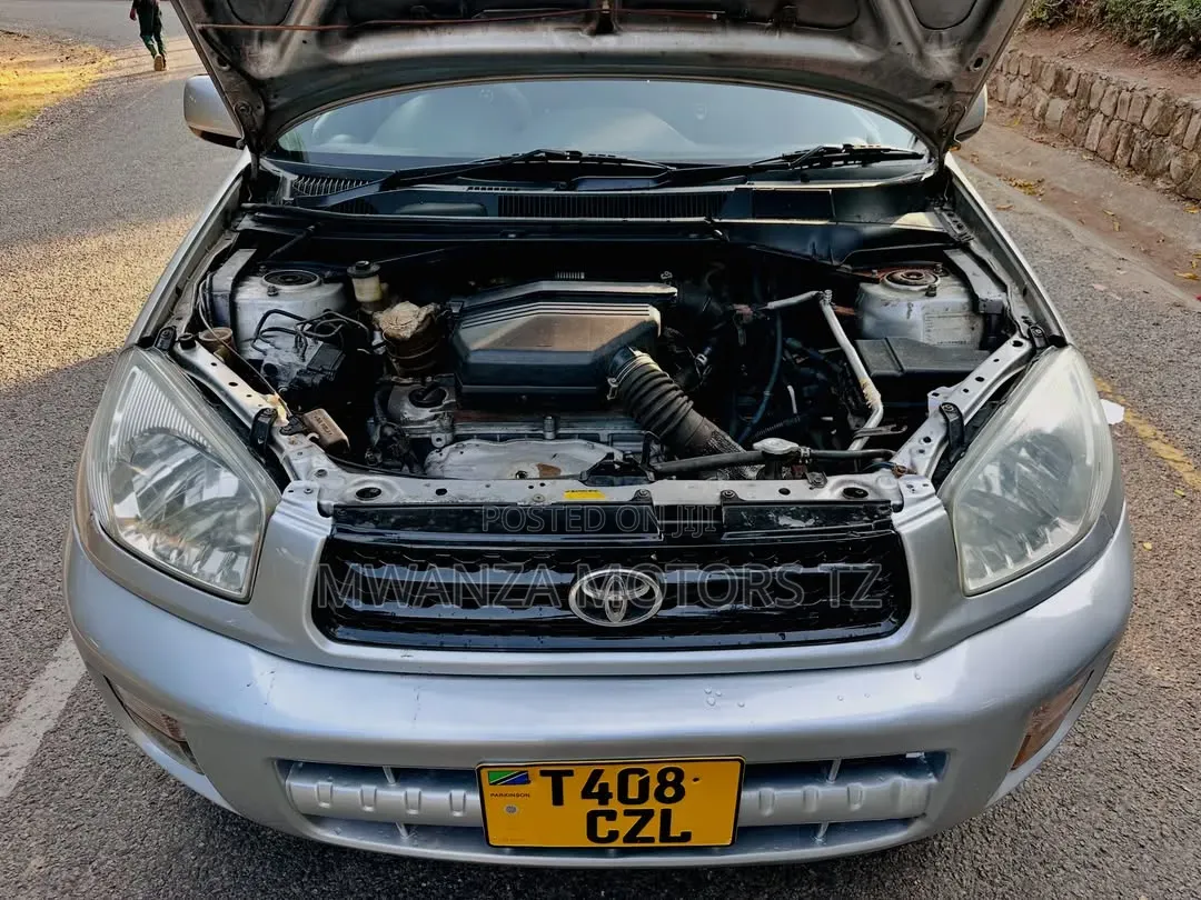 Toyota RAV4 2004 Silver