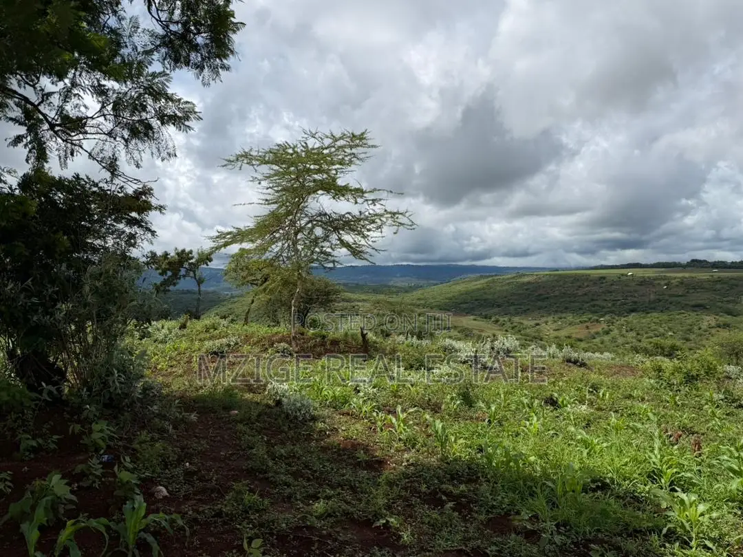 Prime 20-Acre Investment Plot in Karatu – Overlooking Ngorongoro Rim