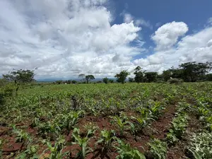 Prime 20-Acre Investment Plot in Karatu – Overlooking Ngorongoro Rim