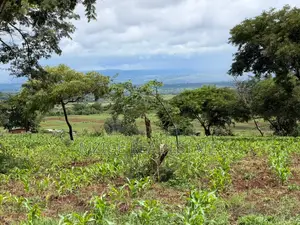 Prime 20-Acre Investment Plot in Karatu – Overlooking Ngorongoro Rim