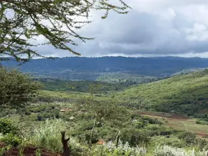 Prime 20-Acre Investment Plot in Karatu – Overlooking Ngorongoro Rim