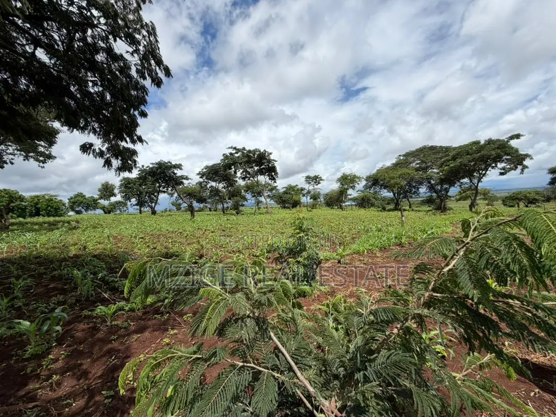 Prime 20-Acre Investment Plot in Karatu – Overlooking Ngorongoro Rim