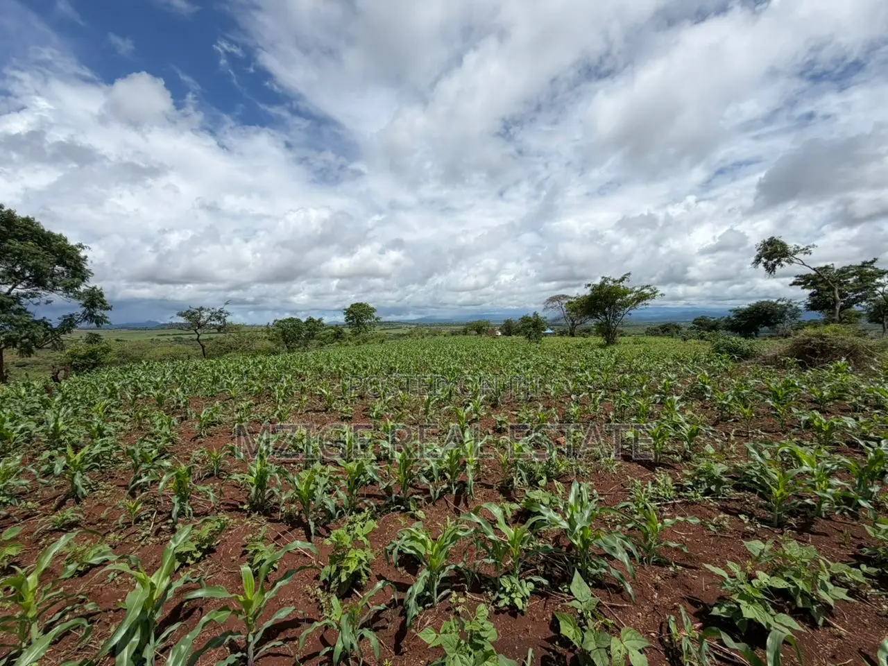 Prime 20-Acre Investment Plot in Karatu – Overlooking Ngorongoro Rim