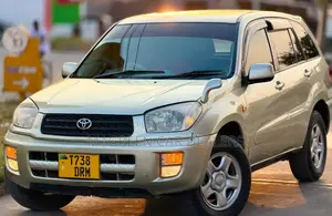 Toyota RAV4 2005 Gold