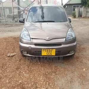 Toyota Fun Cargo 2004 Gray