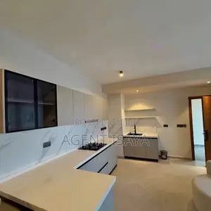 Furnished 1bdrm Apartment in Masaki for rent