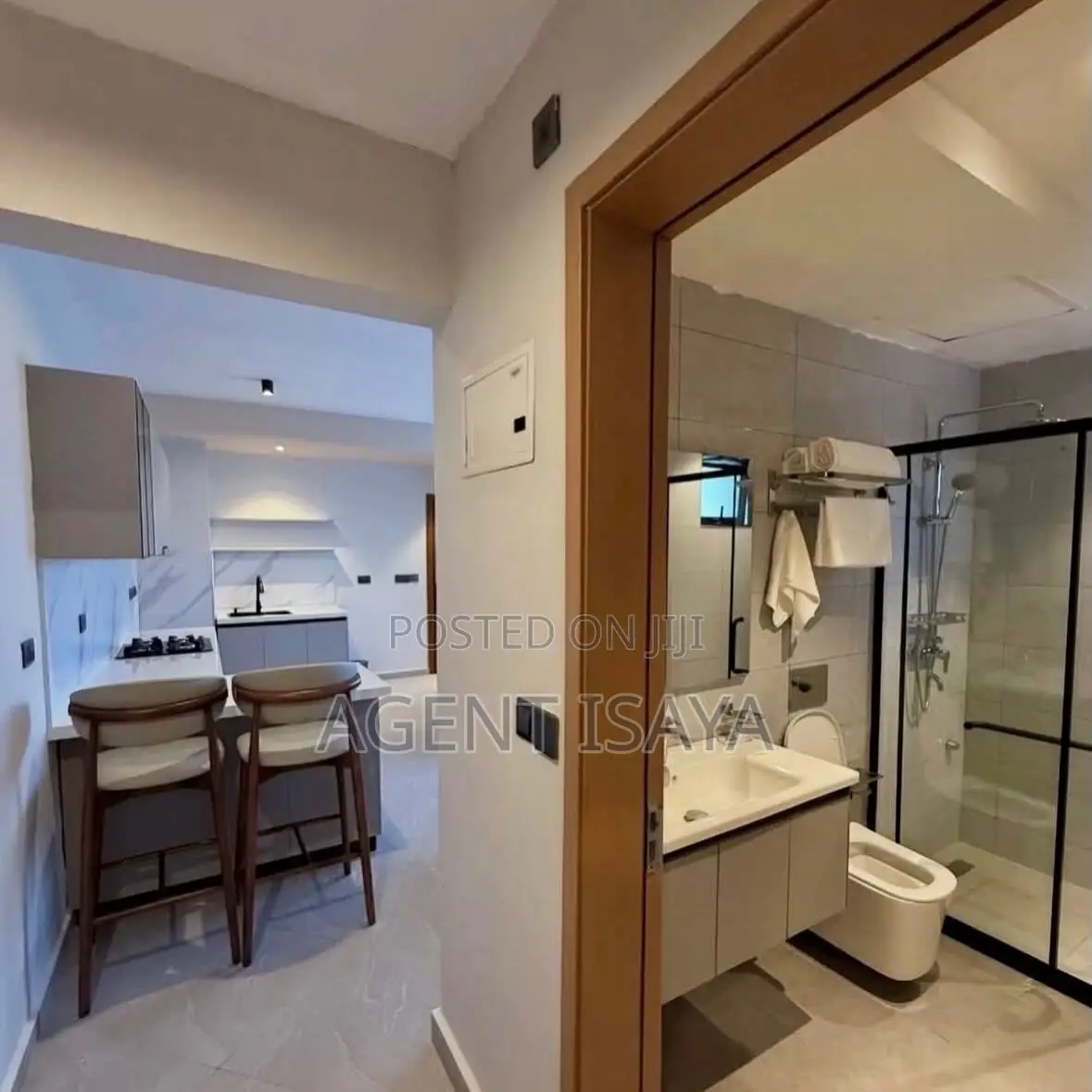 Furnished 1bdrm Apartment in Masaki for rent