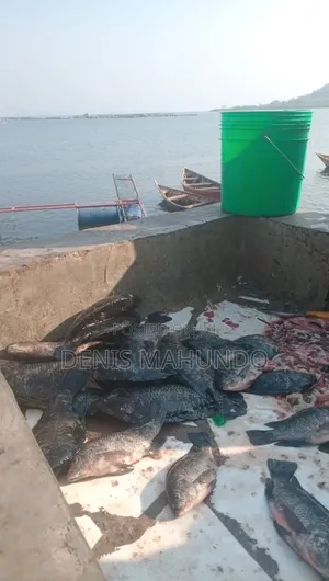 Samaki Wa Sato Fresh