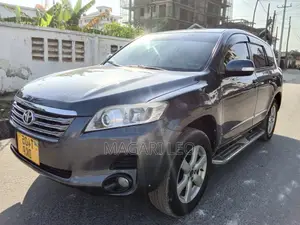 Toyota Vanguard 2009 Gray