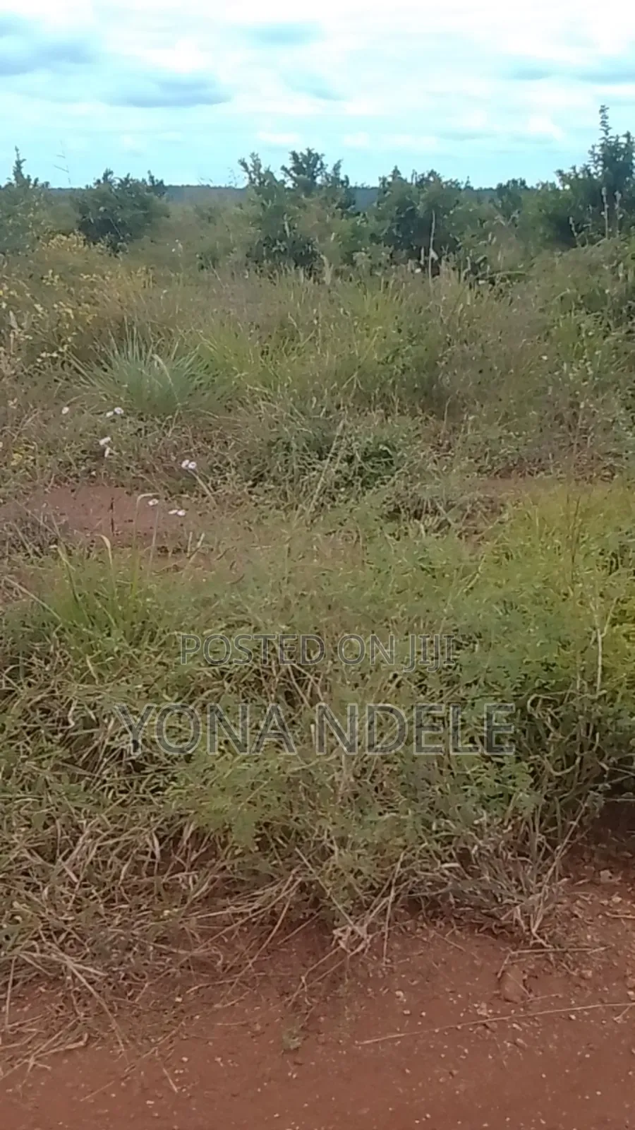 Shamba Linauzwa
